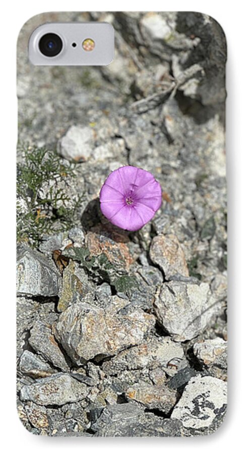 Amethyst Oasis in a Barren Landscape - Phone Case