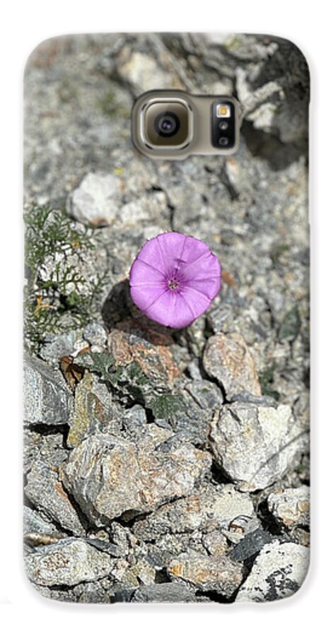 Amethyst Oasis in a Barren Landscape - Phone Case