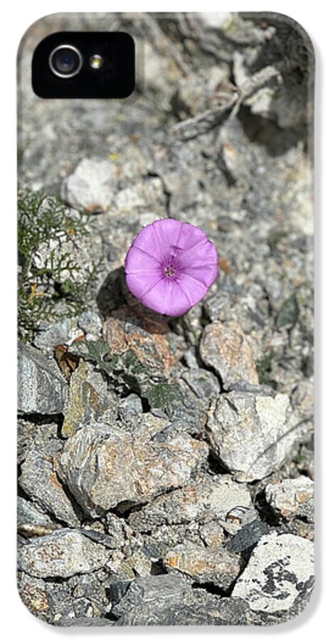 Amethyst Oasis in a Barren Landscape - Phone Case