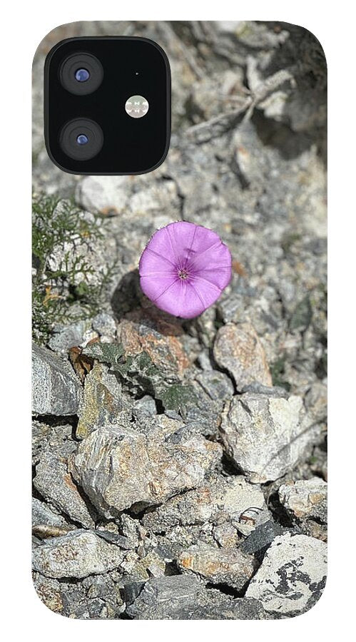 Amethyst Oasis in a Barren Landscape - Phone Case