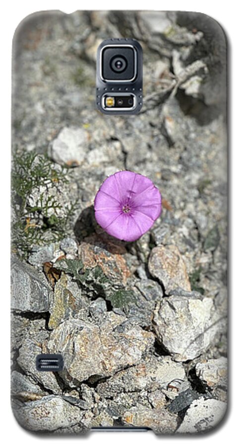 Amethyst Oasis in a Barren Landscape - Phone Case