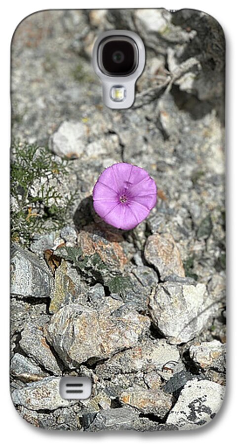 Amethyst Oasis in a Barren Landscape - Phone Case