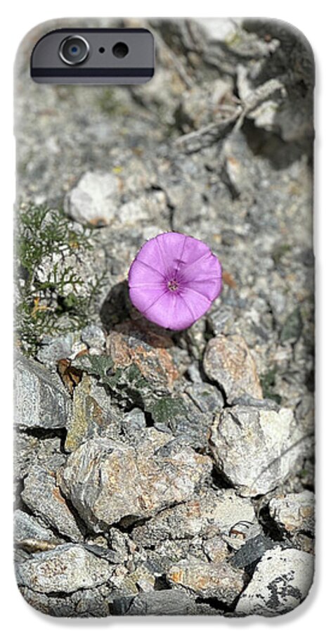 Amethyst Oasis in a Barren Landscape - Phone Case