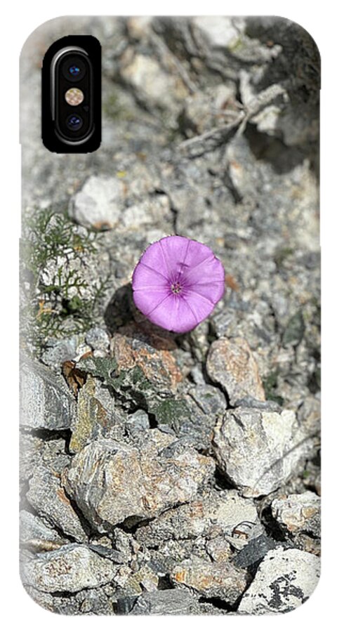 Amethyst Oasis in a Barren Landscape - Phone Case