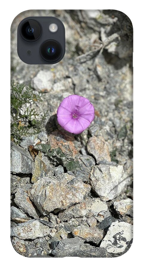 Amethyst Oasis in a Barren Landscape - Phone Case