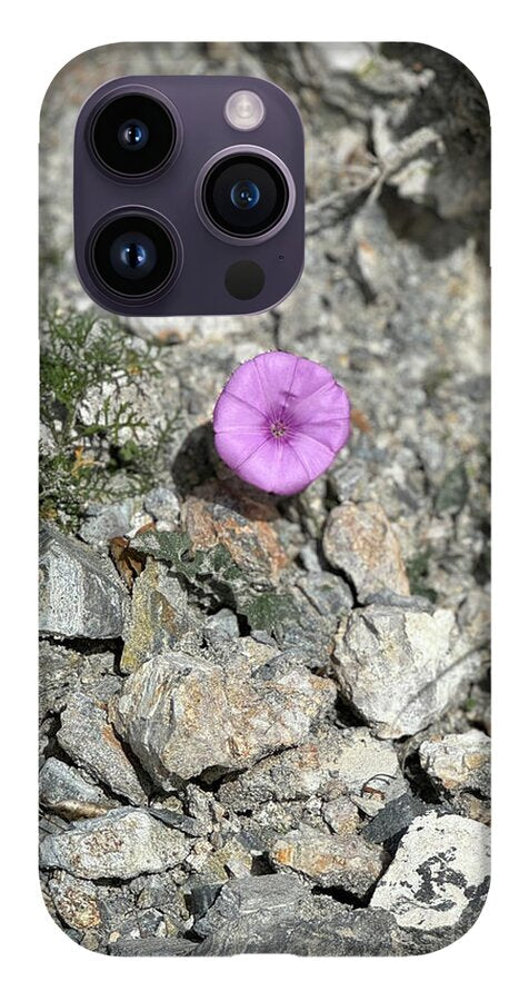 Amethyst Oasis in a Barren Landscape - Phone Case