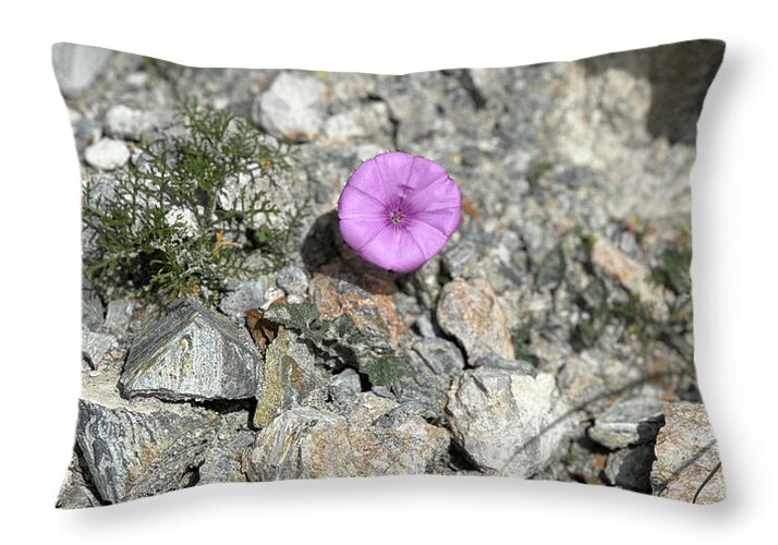 Amethyst Oasis in a Barren Landscape - Throw Pillow