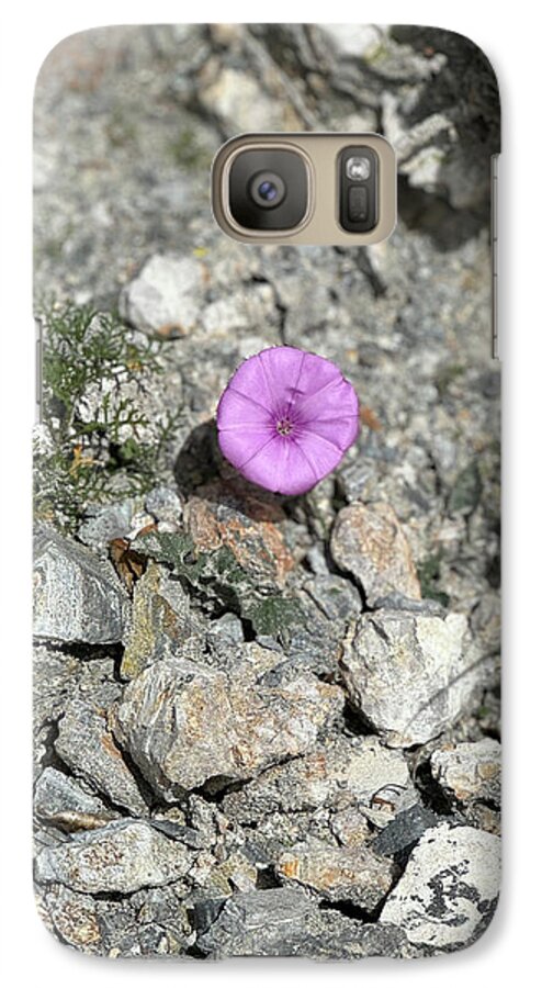 Amethyst Oasis in a Barren Landscape - Phone Case