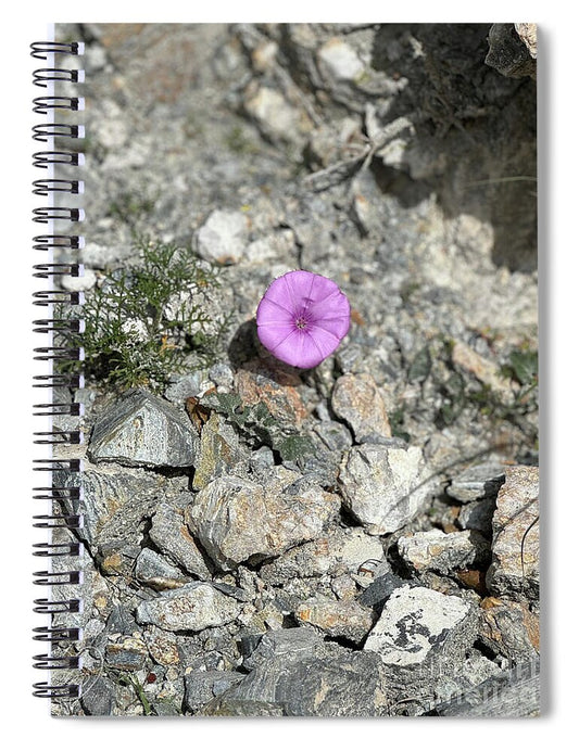 Amethyst Oasis in a Barren Landscape - Spiral Notebook