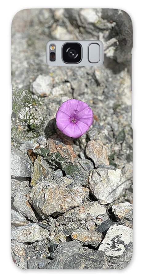 Amethyst Oasis in a Barren Landscape - Phone Case