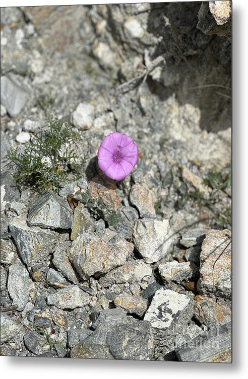 Amethyst Oasis in a Barren Landscape - Metal Print