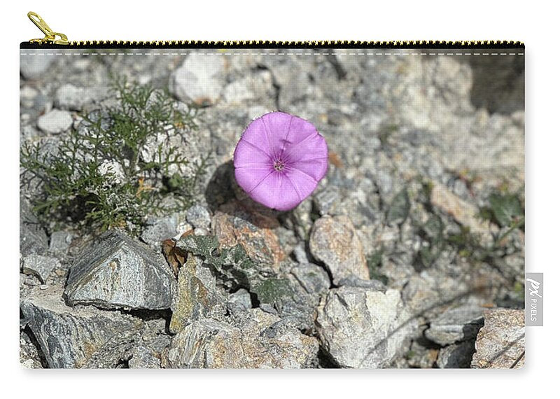 Amethyst Oasis in a Barren Landscape - Zip Pouch