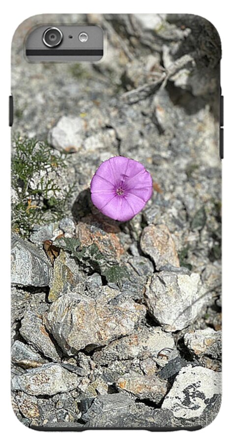 Amethyst Oasis in a Barren Landscape - Phone Case