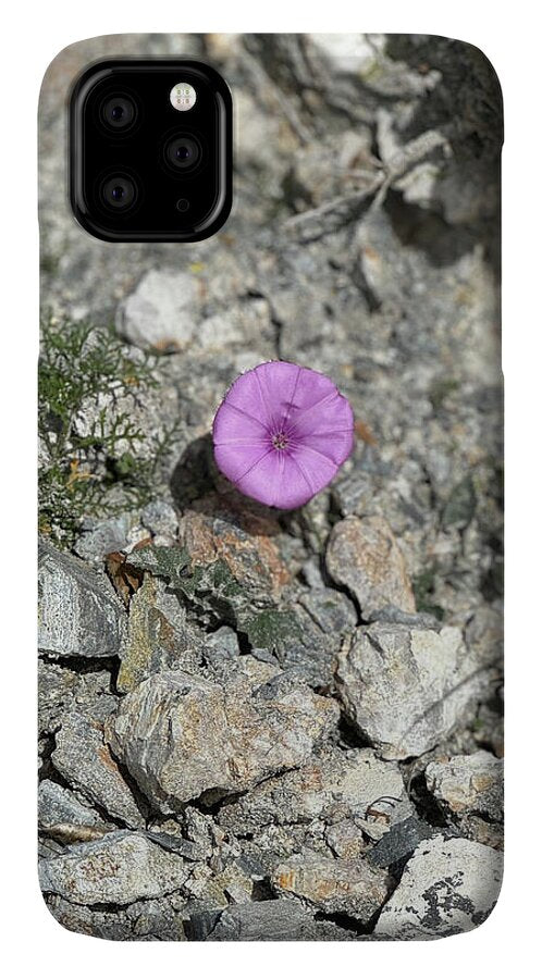 Amethyst Oasis in a Barren Landscape - Phone Case