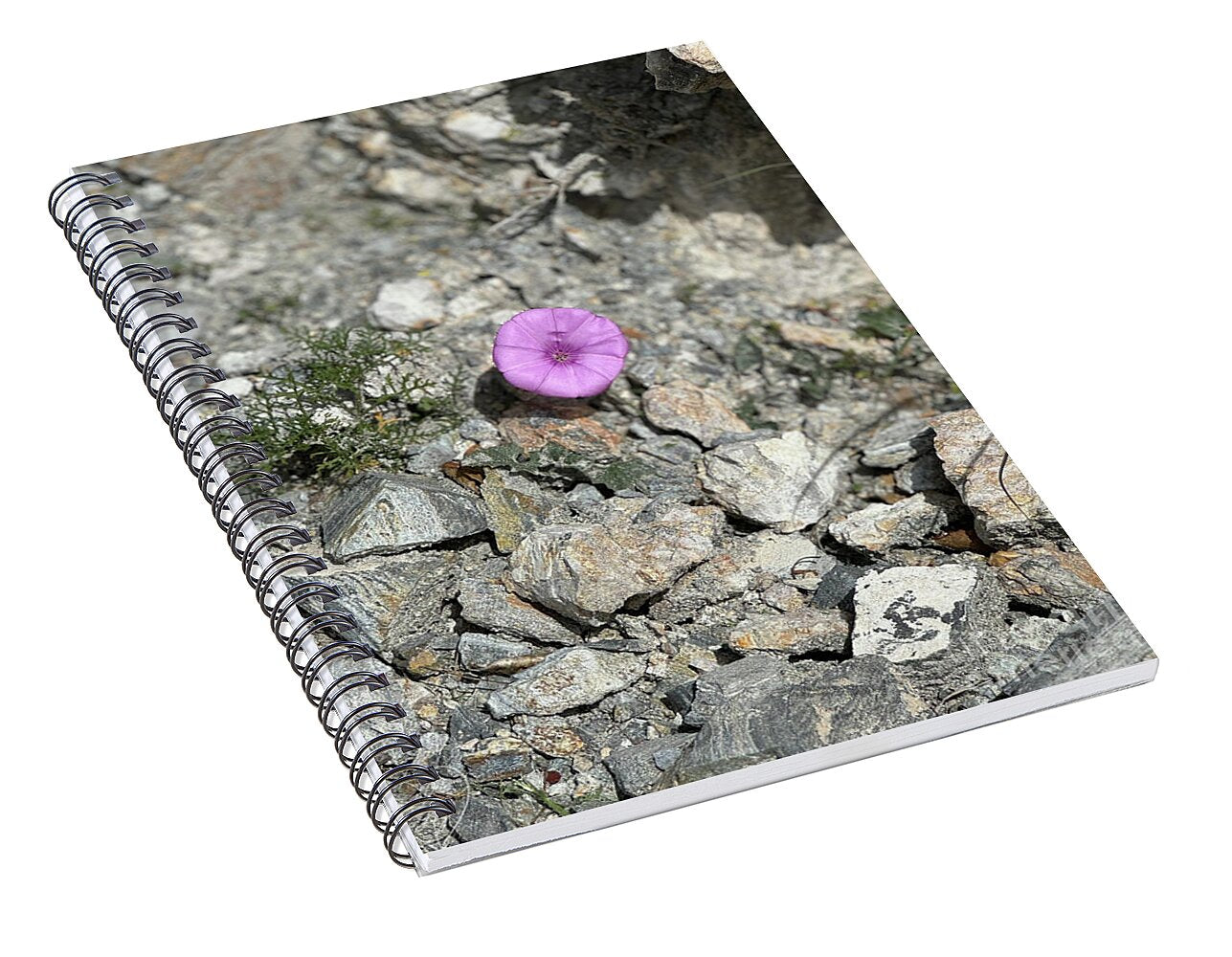 Amethyst Oasis in a Barren Landscape - Spiral Notebook