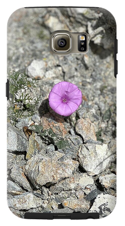 Amethyst Oasis in a Barren Landscape - Phone Case