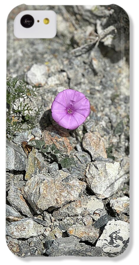 Amethyst Oasis in a Barren Landscape - Phone Case