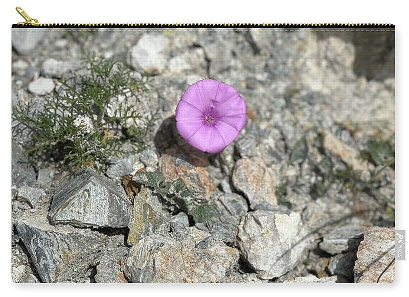 Amethyst Oasis in a Barren Landscape - Zip Pouch