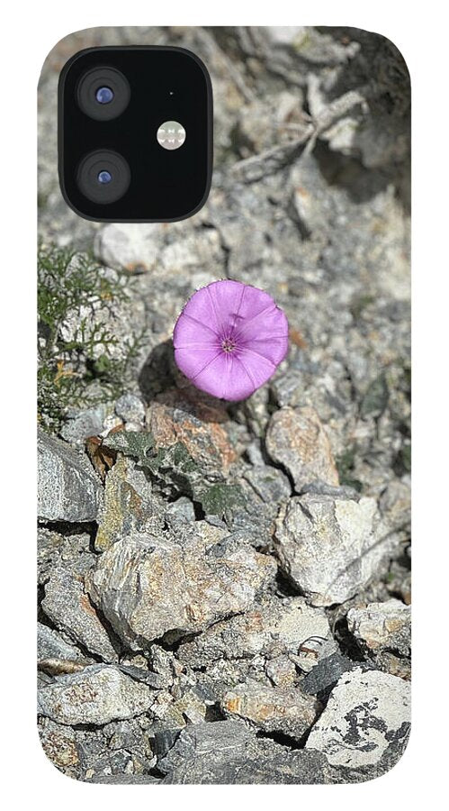 Amethyst Oasis in a Barren Landscape - Phone Case