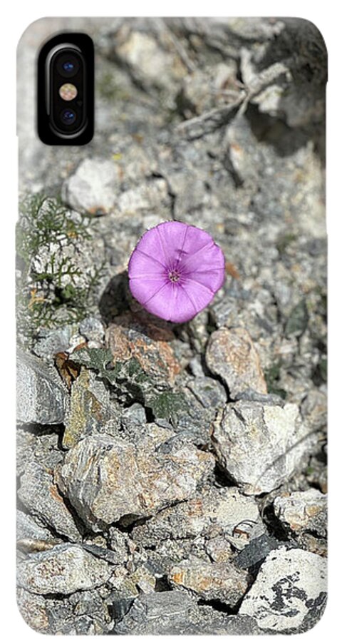 Amethyst Oasis in a Barren Landscape - Phone Case