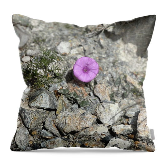 Amethyst Oasis in a Barren Landscape - Throw Pillow