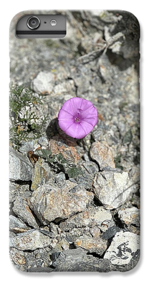 Amethyst Oasis in a Barren Landscape - Phone Case