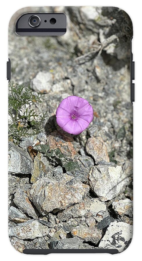 Amethyst Oasis in a Barren Landscape - Phone Case