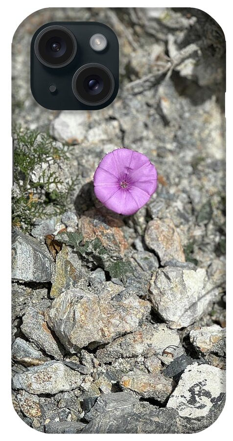 Amethyst Oasis in a Barren Landscape - Phone Case