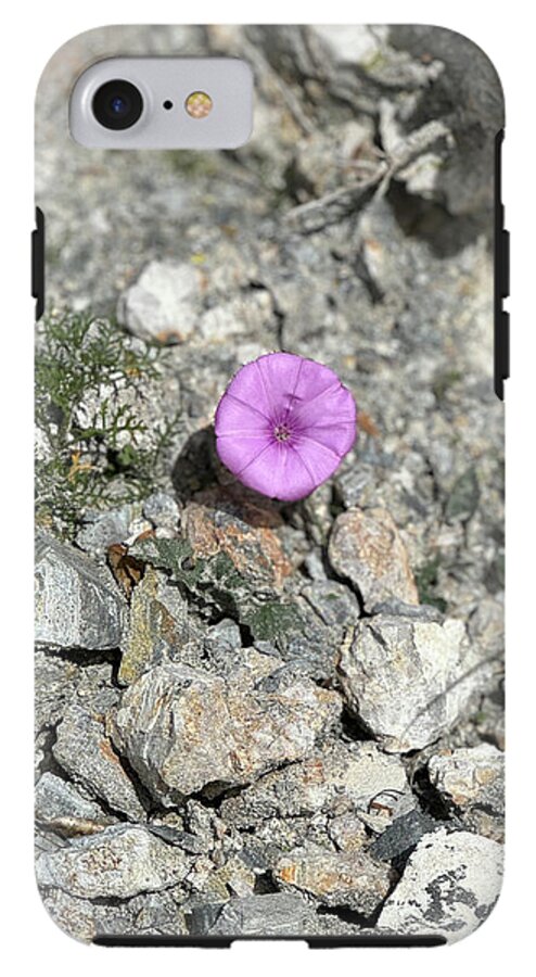 Amethyst Oasis in a Barren Landscape - Phone Case