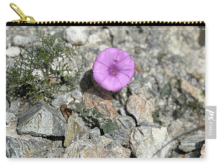 Amethyst Oasis in a Barren Landscape - Zip Pouch