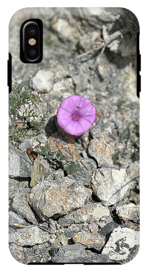 Amethyst Oasis in a Barren Landscape - Phone Case