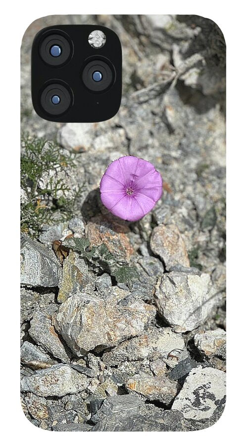 Amethyst Oasis in a Barren Landscape - Phone Case