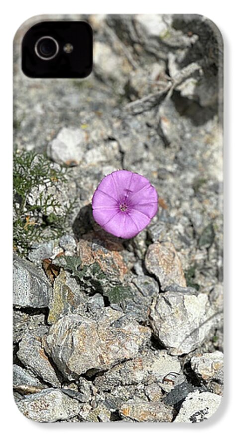 Amethyst Oasis in a Barren Landscape - Phone Case