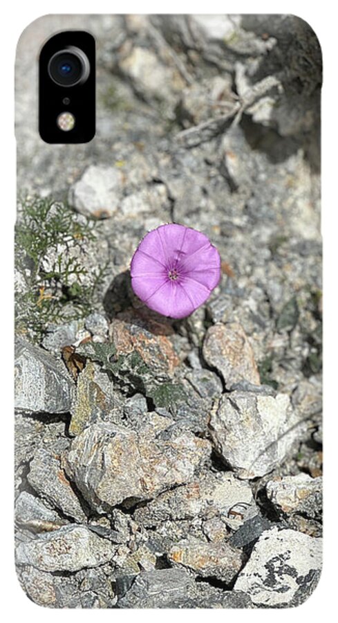 Amethyst Oasis in a Barren Landscape - Phone Case