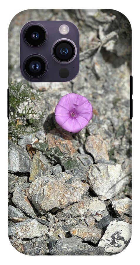 Amethyst Oasis in a Barren Landscape - Phone Case