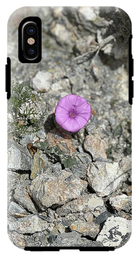 Amethyst Oasis in a Barren Landscape - Phone Case