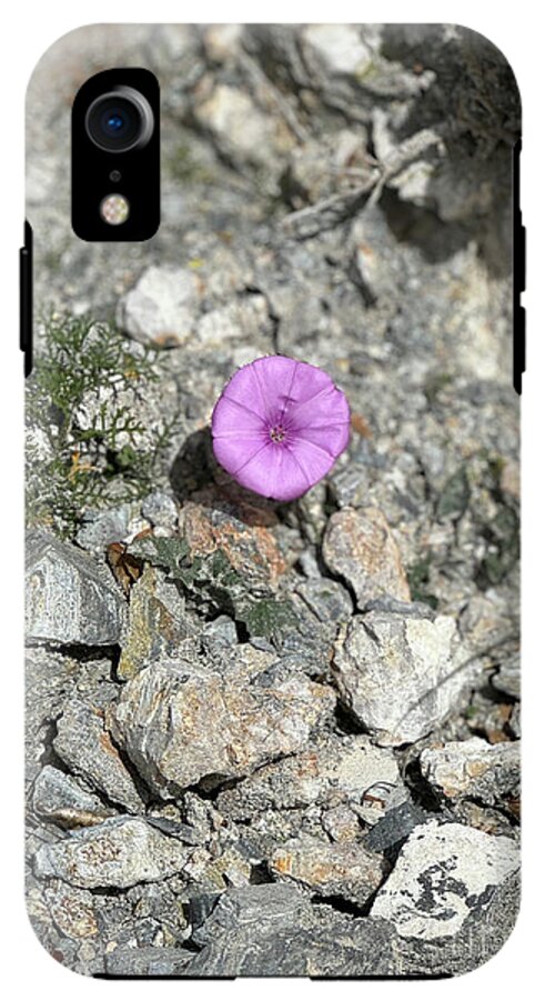 Amethyst Oasis in a Barren Landscape - Phone Case