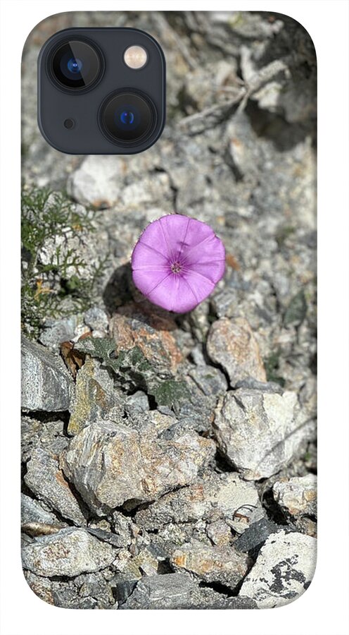 Amethyst Oasis in a Barren Landscape - Phone Case