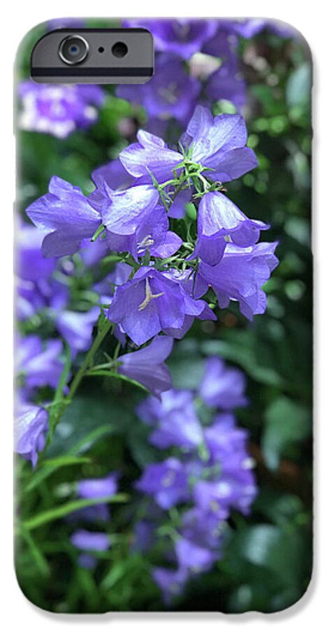 Campanula Bellflower Charm - Phone Case