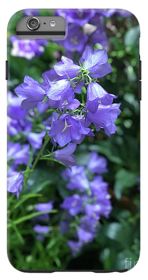 Campanula Bellflower Charm - Phone Case