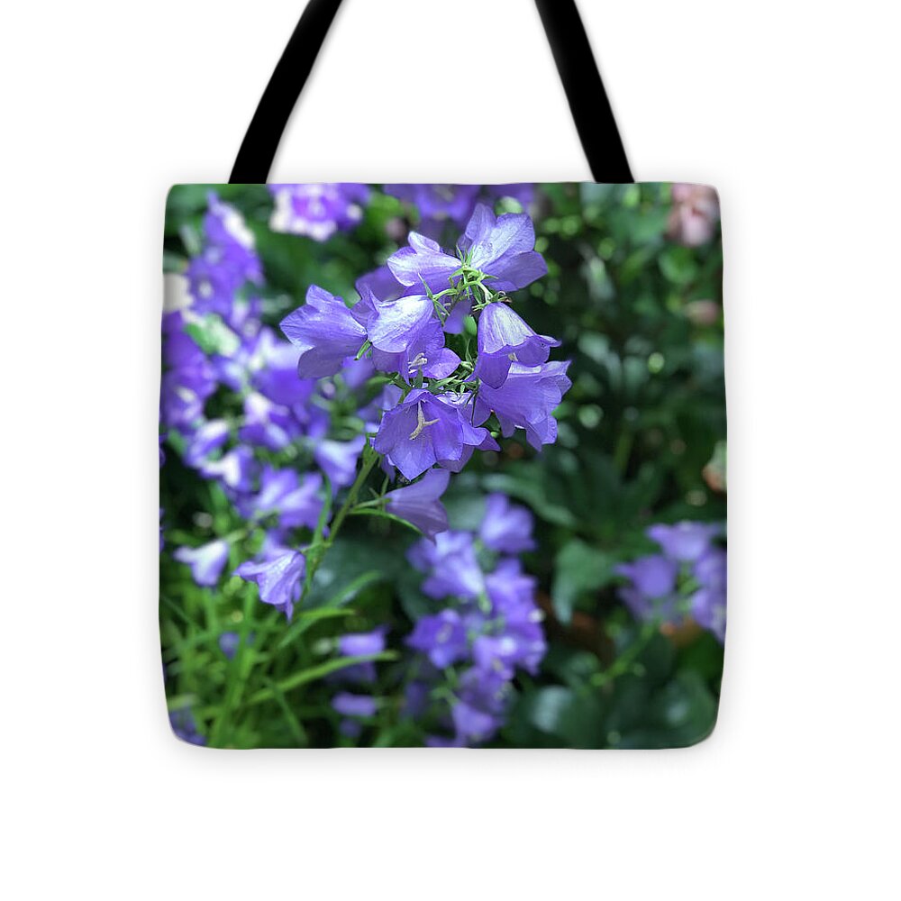 Campanula Bellflower Charm - Tote Bag