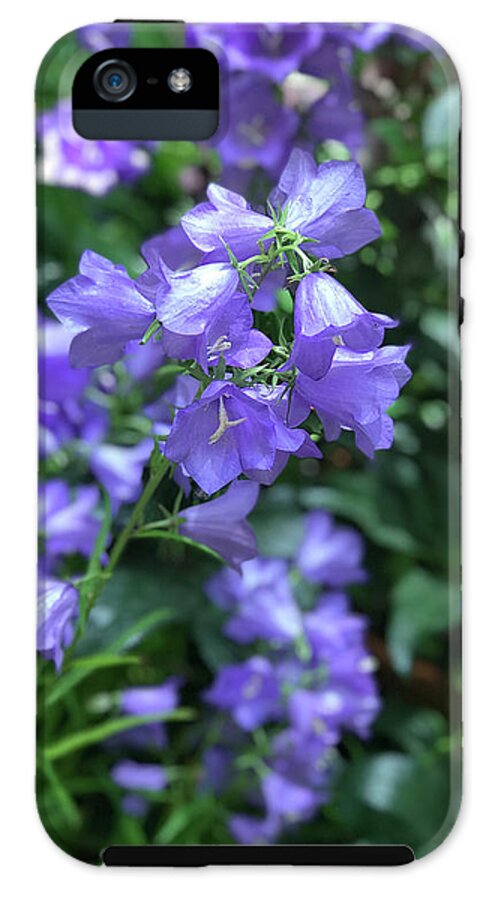 Campanula Bellflower Charm - Phone Case