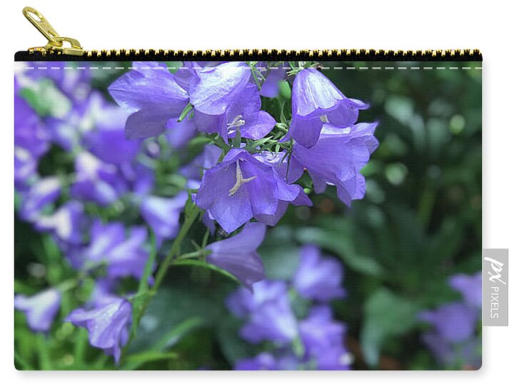 Campanula Bellflower Charm - Zip Pouch