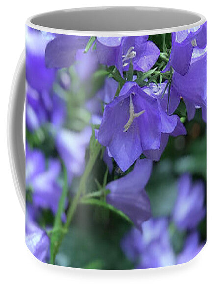 Campanula Bellflower Charm - Mug