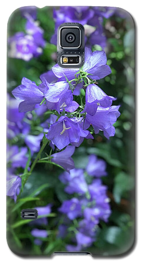 Campanula Bellflower Charm - Phone Case