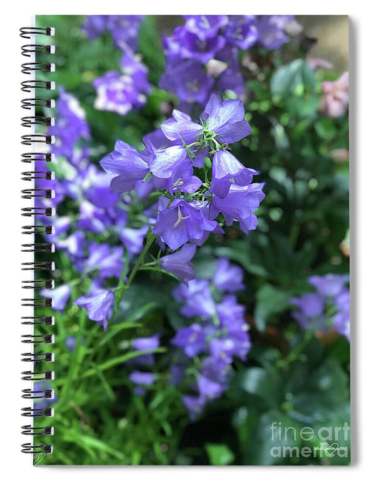 Campanula Bellflower Charm - Spiral Notebook