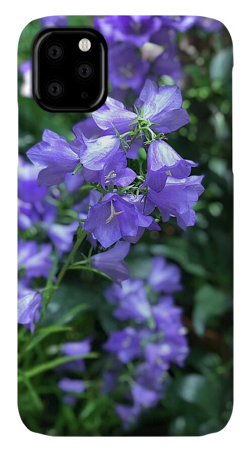 Campanula Bellflower Charm - Phone Case