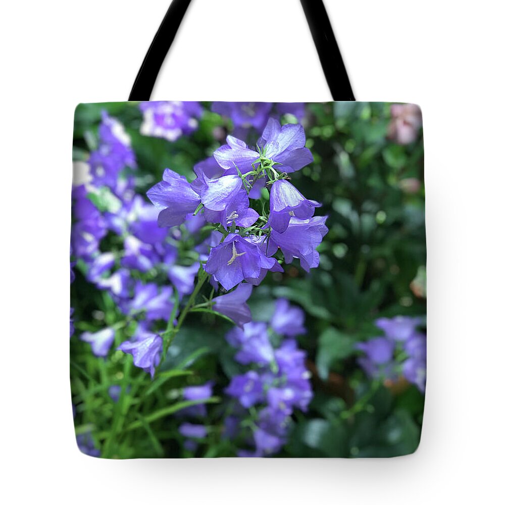 Campanula Bellflower Charm - Tote Bag