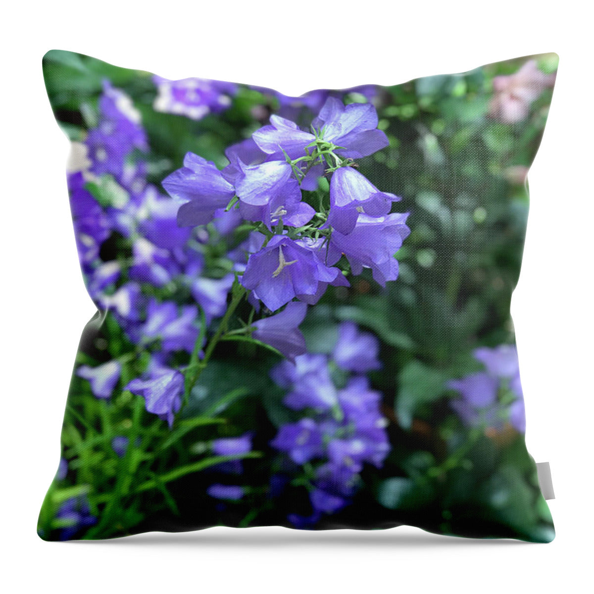 Campanula Bellflower Charm - Throw Pillow