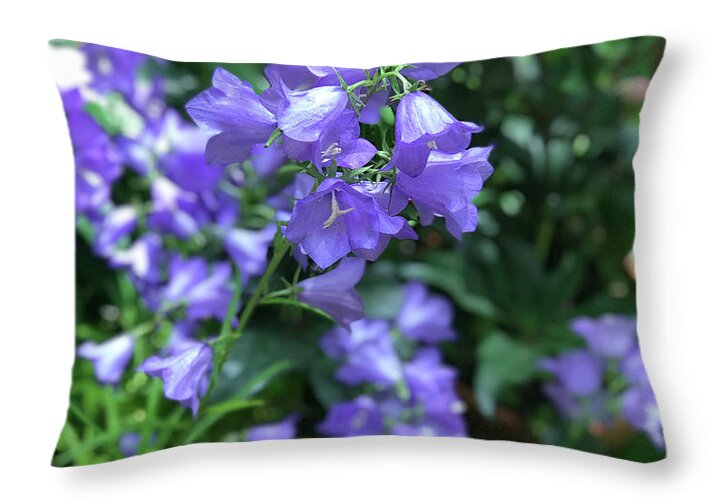 Campanula Bellflower Charm - Throw Pillow